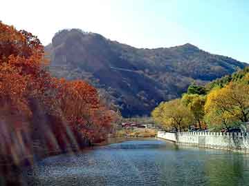 管家婆免费正版资起大全，山东龙口海景房骗局